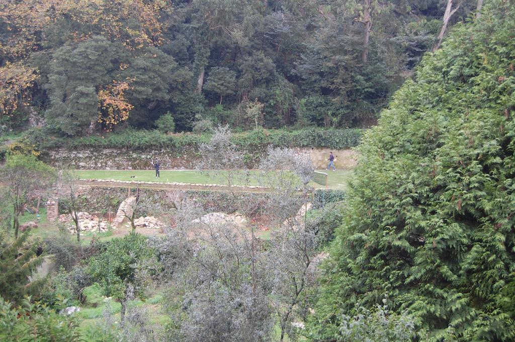 Quinta Do Castanheiro Hotel Sintra Bagian luar foto