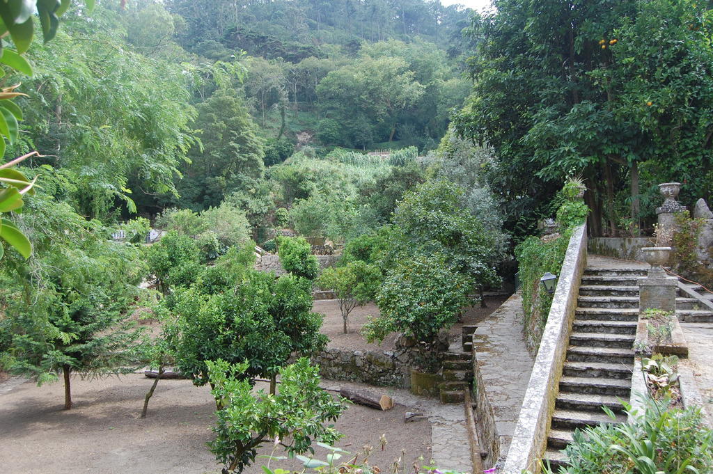 Quinta Do Castanheiro Hotel Sintra Bagian luar foto
