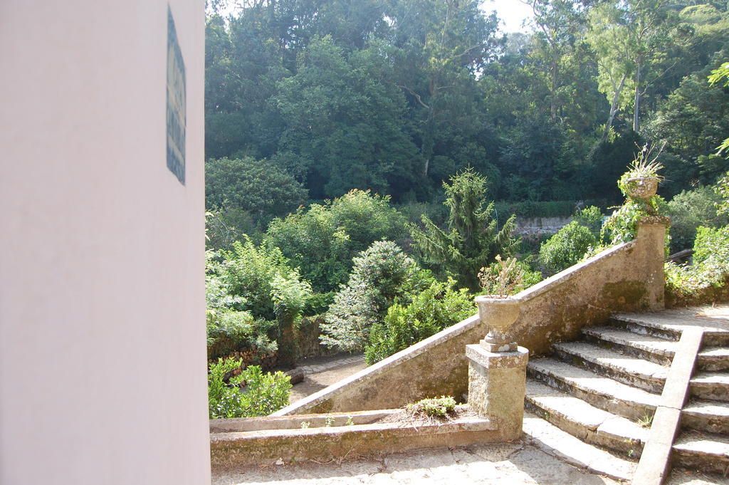 Quinta Do Castanheiro Hotel Sintra Bagian luar foto