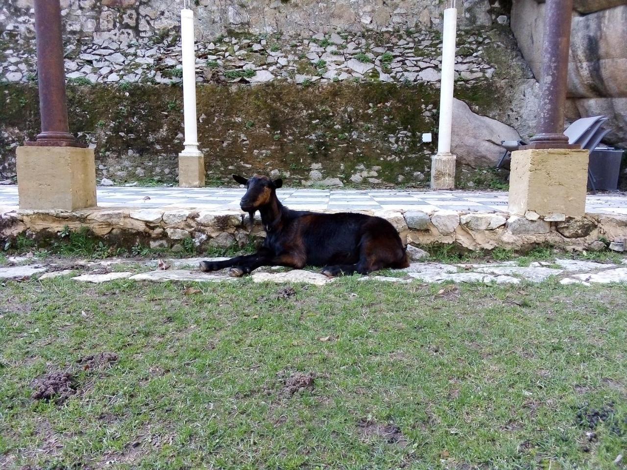 Quinta Do Castanheiro Hotel Sintra Bagian luar foto